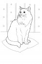 coloring_pages/cats/cats_ 16.jpg